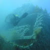 Picture taken during the dive