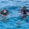 Picture taken during the dive