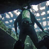 Picture taken during the dive