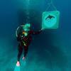 Picture taken during the dive