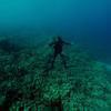 Picture taken during the dive