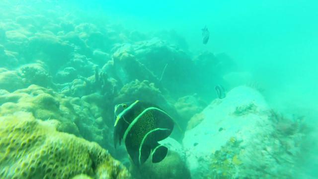 Master Dive - Dive Center in Brazil