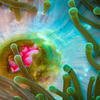 Picture taken during the dive