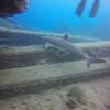 Picture taken during the dive