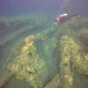 Picture taken during the dive