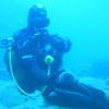 Picture taken during the dive