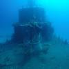 Picture taken during the dive