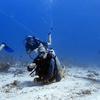 Picture taken during the dive