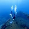 Picture taken during the dive
