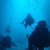 Picture taken during the dive