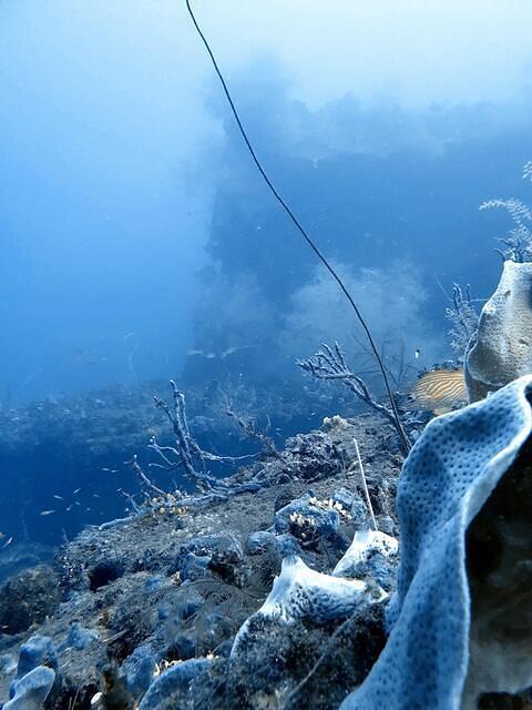 Diving in Castries, Saint Lucia - By David Hsl