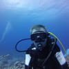 Picture taken during the dive