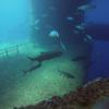 Picture taken during the dive