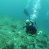 Picture taken during the dive