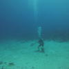 Picture taken during the dive