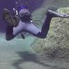 Picture taken during the dive