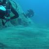Picture taken during the dive