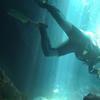Picture taken during the dive