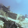Picture taken during the dive