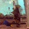 Picture taken during the dive