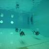 Picture taken during the dive