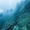 Picture taken during the dive