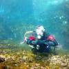 Picture taken during the dive
