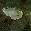 Picture taken during the dive
