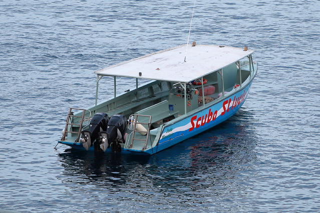 Diving in Saint Lucia, Soufriere - By Smmcdonald