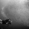 Picture taken during the dive