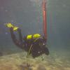 Picture taken during the dive