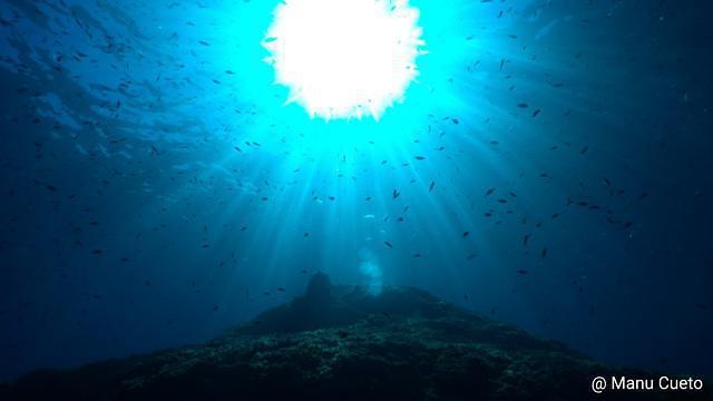 Diving in Spain, Comunidad Valenciana - By Manu-Mbesub