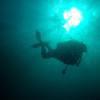 Picture taken during the dive