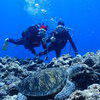 Picture taken during the dive