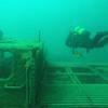 Picture taken during the dive