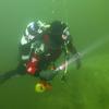 Picture taken during the dive