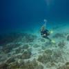 Picture taken during the dive