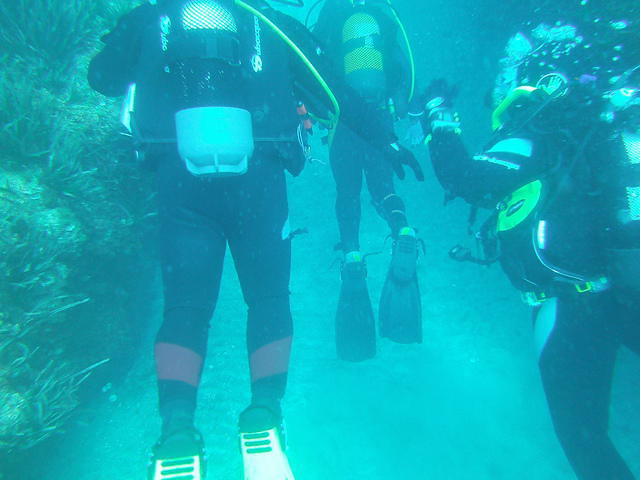 Centro Buceo Alpha - Dive Center in Spain