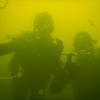 Picture taken during the dive