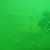 Picture taken during the dive