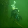 Picture taken during the dive