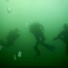 Picture taken during the dive