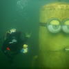 Picture taken during the dive