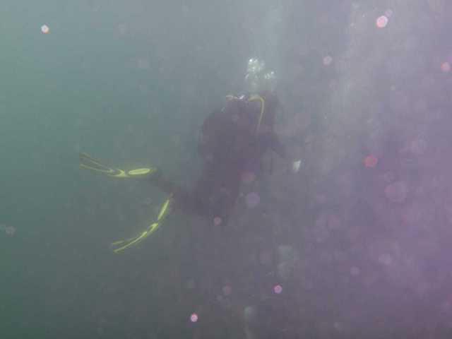 WATERWORLD - Dive Center in Allemagne