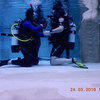 Picture taken during the dive