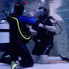 Picture taken during the dive