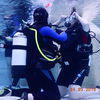 Picture taken during the dive