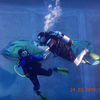 Picture taken during the dive