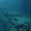Picture taken during the dive