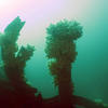 Picture taken during the dive